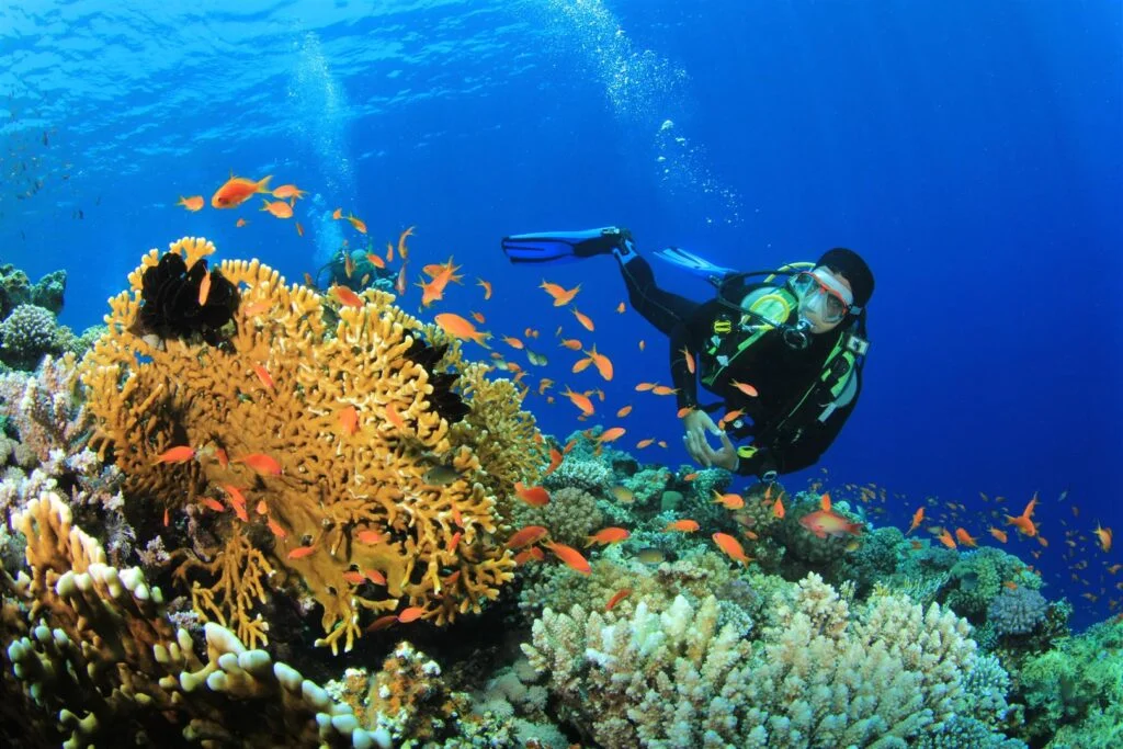 Scuba Diving tour in Havelock