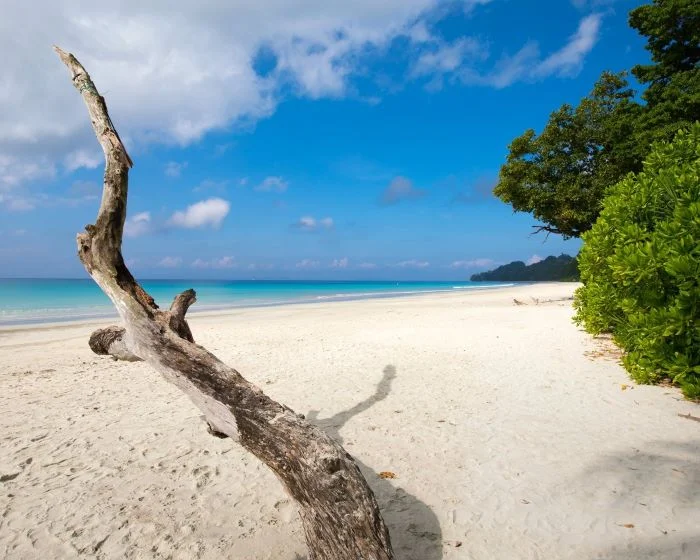 Kalapathar Beach Havelock Island Andaman with white sand and turquoise water