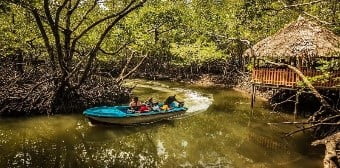 Baratang Island Andaman