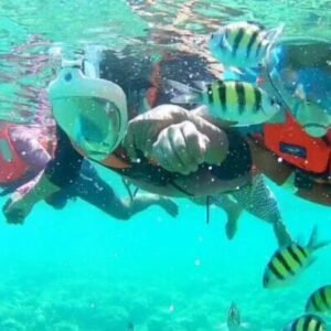 snorkeling at elephant beach
