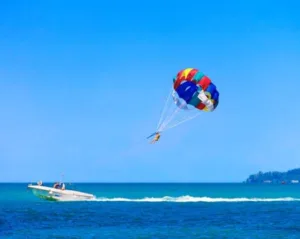 para sailing at elephant beach