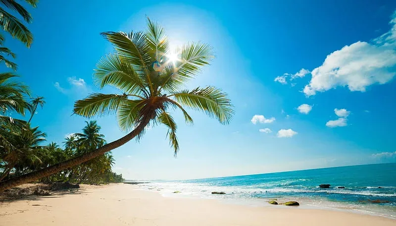 Andaman Beach