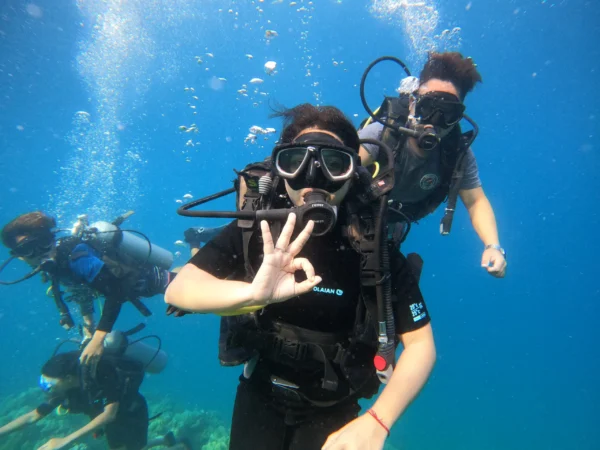 Scuba Diving in Havelock