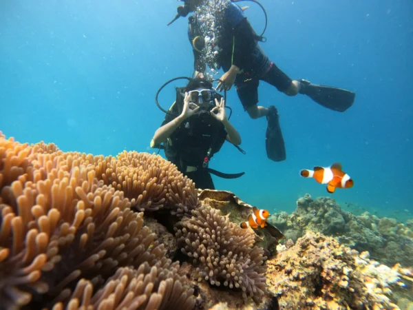 Shore Diving in Andaman