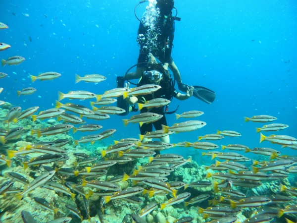 Scuba Diving in Havelock