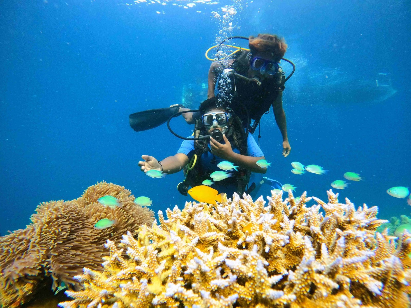 Tribe Gate Boat Dive in Havelock Island Andaman