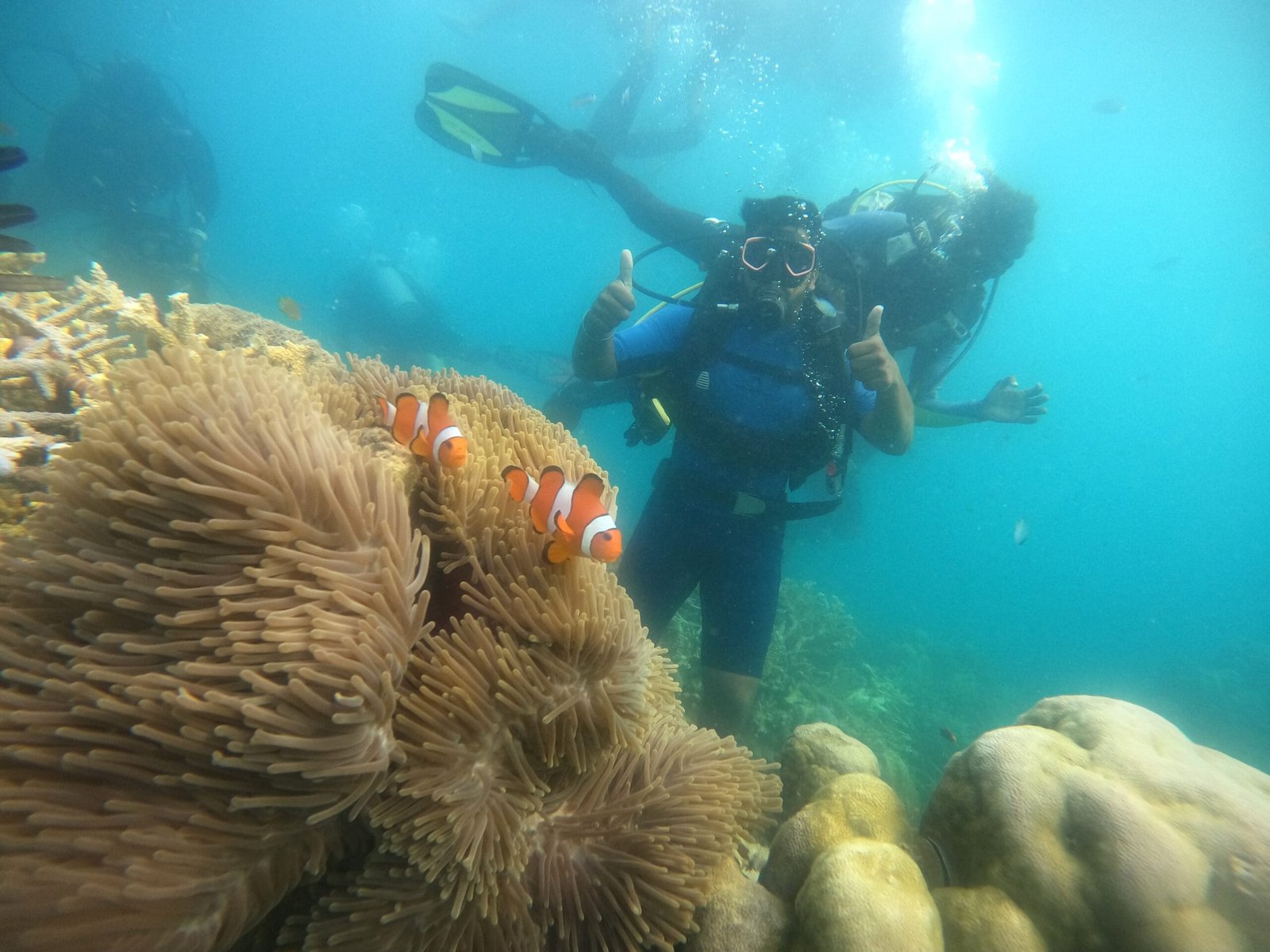 Nemo Reef Shore Dive in Havelock Island for Beginners