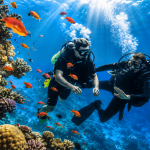 South Button National Park Scuba Diving Andaman