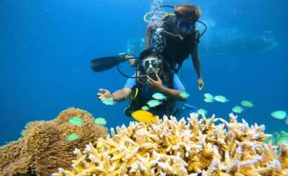 Scuba diving at Tribe Gate