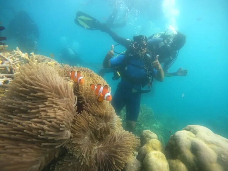 Shore Dive in Andaman