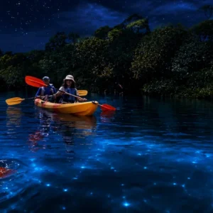 Night Kayaking at Havelock