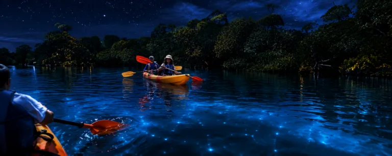 Night Kayaking at Havelock