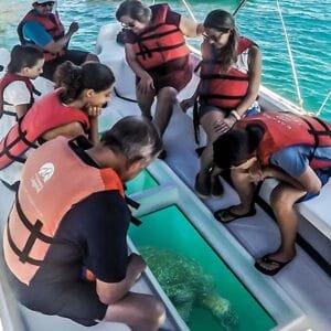 glass bottom boat ride at elephant beach