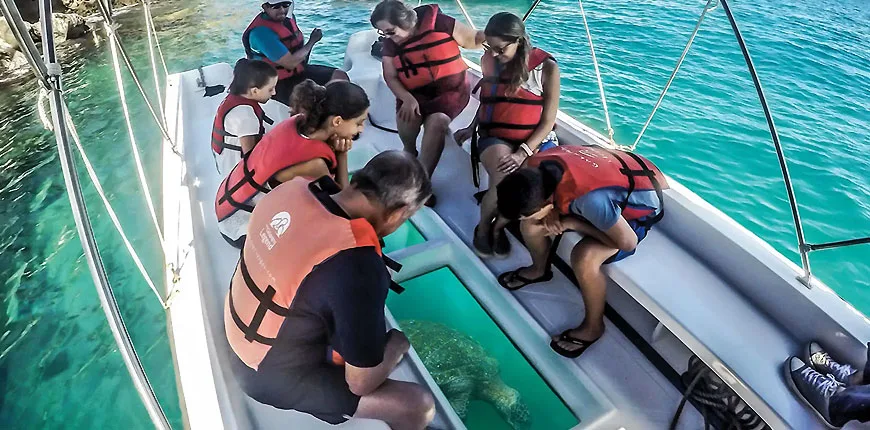 Elephant Beach Boat Ticket